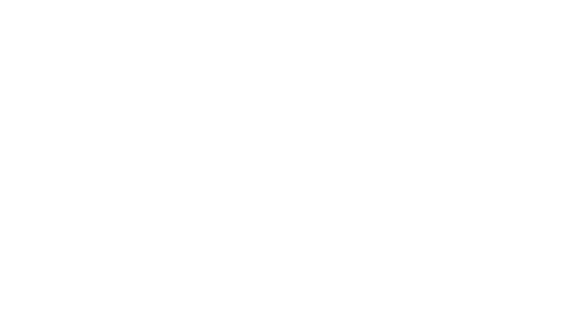 Brian Blve